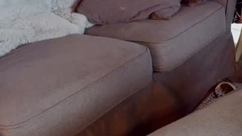 Snapshot of handzyafterdark chatting on July 2026 01:18:01 PM Handy Andy online show from July 2026 01:18:01 PM