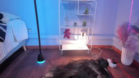 Hannah online show from February 2026 12:31:01 PM