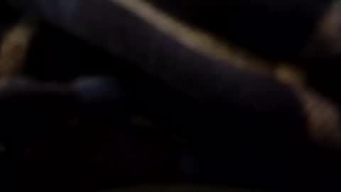 Snapshot of hardandhorny422 chatting on May 2026 07:30:02 PM hardandhorny422 online show from May 2026 07:30:02 PM