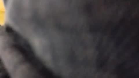 Snapshot of hardandhorny422 chatting on May 2026 05:18:02 PM hardandhorny422 online show from May 2026 05:18:02 PM