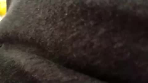 Snapshot of hardandhorny422 chatting on May 2026 12:12:02 PM hardandhorny422 online show from May 2026 12:12:02 PM