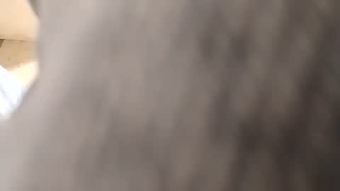 Snapshot of hardandhorny422 chatting on June 2026 04:41:02 PM hardandhorny422 online show from June 2026 04:41:02 PM