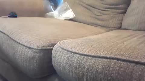 hardcock2share online show from February 2025 10:55:02 PM