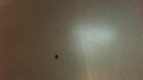 Snapshot of hardforyou3030 chatting on December 2024 08:41:01 AM For You online show from December 2024 08:41:01 AM