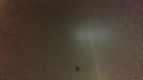 Snapshot of hardforyou3030 chatting on January 2025 09:19:02 AM For You online show from January 2025 09:19:02 AM