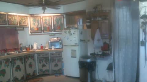 john nobles online show from December 2024 01:15:02 AM