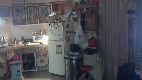 john nobles online show from March 2025 04:35:02 PM