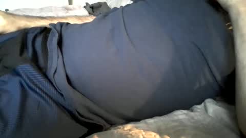 Snapshot of hardnick696 chatting on February 2025 11:14:02 PM hardnick696 online show from February 2025 11:14:02 PM