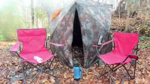 hardworkertn online show from November 2025 07:12:01 PM