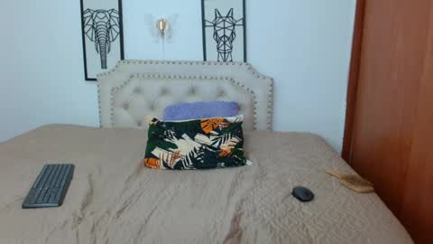       online show from April 2026 01:08:01 AM