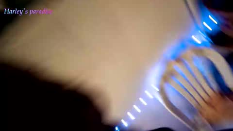 Snapshot of harleyparadise chatting on February 2026 08:21:01 AM 900 am to 300 pm - GTM 5 Weekdays online show from February 2026 08:21:01 AM