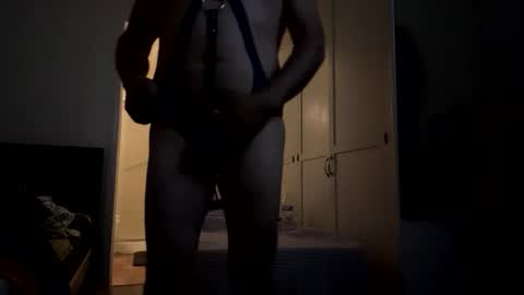 Snapshot of harnessman69 chatting on November 2025 08:46:02 AM harnessman69 online show from November 2025 08:46:02 AM