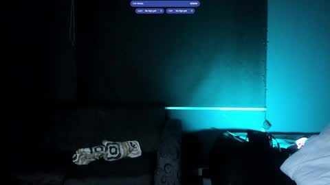 Snapshot of harrydavidsonx chatting on November 2025 08:12:01 AM ... online show from November 2025 08:12:01 AM