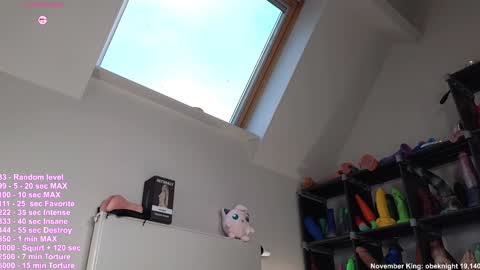 Haylee online show from November 2025 08:41:01 AM