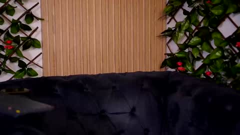 Haylie online show from December 2024 02:38:02 PM