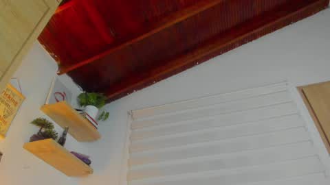 Snapshot of hazel_shy chatting on January 2025 02:25:01 AM Im Hazel online show from January 2025 02:25:01 AM