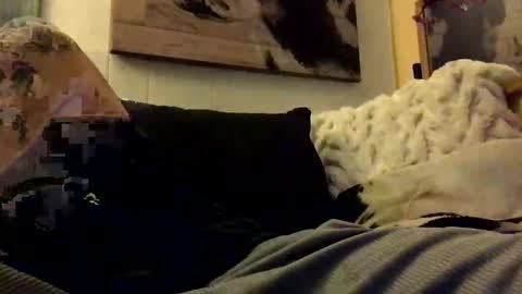 HBSethy online show from January 2025 07:06:02 AM