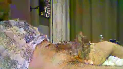 heddamedda59 online show from April 2026 04:16:01 PM