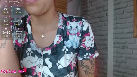   online show from December 2024 07:39:02 PM