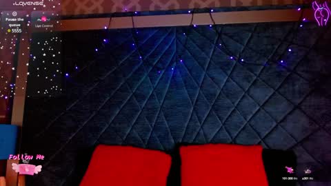   online show from December 2024 07:49:02 PM