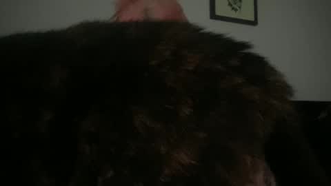 Bunnie Rotz online show from March 2025 02:32:01 PM