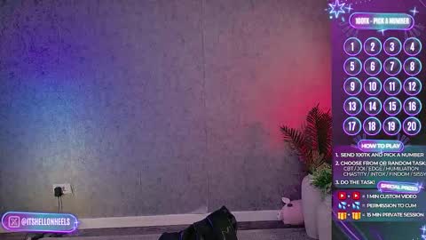 - show loyalty and subscribe -  online show from November 2025 11:43:01 PM