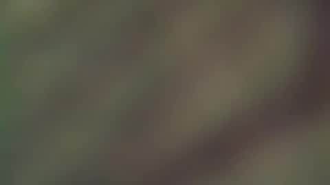 hellohowareyou66 online show from March 2026 06:45:02 PM