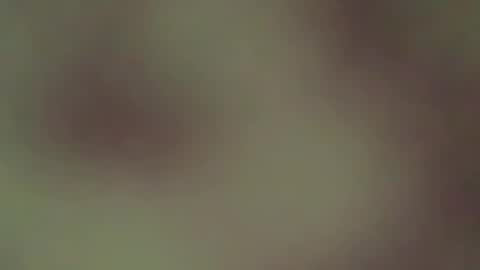 hellohowareyou66 online show from April 2026 03:57:02 AM