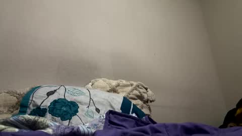 Snapshot of hellokitten123 chatting on January 2025 09:40:01 PM hellokitten123 online show from January 2025 09:40:01 PM