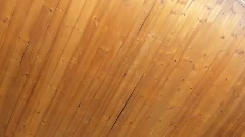 Noraly  online show from February 2025 11:05:02 AM