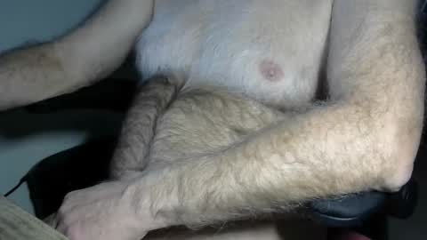 Snapshot of higgins11 chatting on February 2026 02:39:02 AM higgins11 online show from February 2026 02:39:02 AM