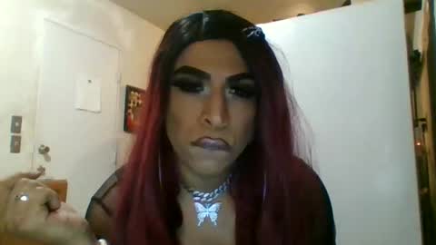 hihheelstranny online show from April 2026 08:08:01 AM