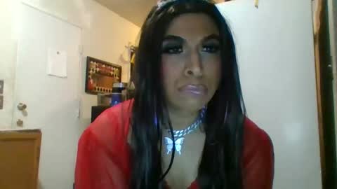 hihheelstranny online show from April 2026 10:18:01 AM