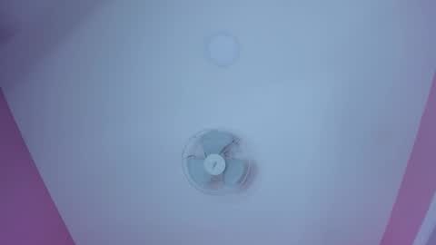 hilary_tailor online show from December 2025 11:28:02 AM