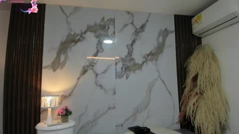 Hilary Thomsom online show from February 2026 12:23:01 PM