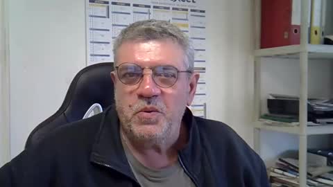 hippo online show from December 2024 09:52:01 AM