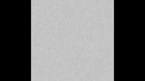 hofnung online show from February 2026 02:08:01 AM