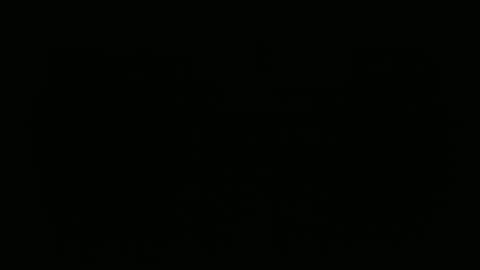 hofnung online show from February 2026 10:36:02 AM