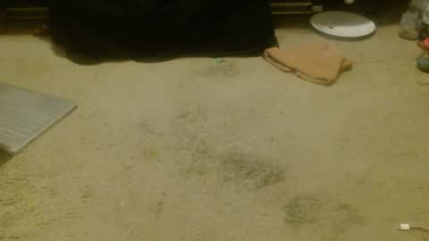 Holly Hawkes online show from April 2026 12:30:02 PM