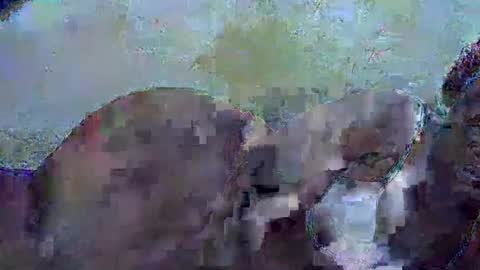 honey_sunshiny online show from February 2026 06:51:01 AM