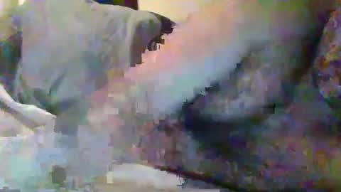 honeydaddyforyou online show from December 2024 03:03:02 AM