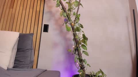 Sofia independent model online show from December 2024 10:57:01 AM