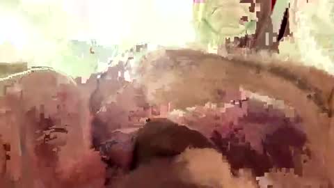 hornieecum online show from March 2026 11:17:02 AM