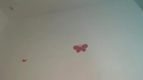 Iris online show from April 2026 07:55:02 PM