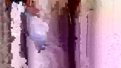 hornyebon9 online show from October 2025 09:20:01 AM