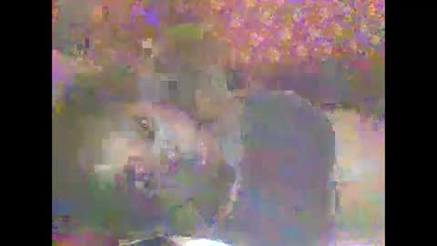 hornygal001 online show from April 2026 05:07:02 AM