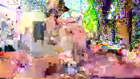 Snapshot of hornyhotgy27 chatting on December 2024 09:46:01 PM hornyhotgy27 online show from December 2024 09:46:01 PM