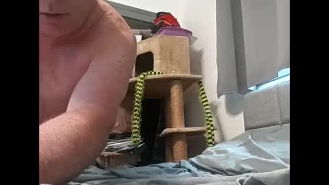 hornyman6942842 online show from December 2025 08:04:02 PM