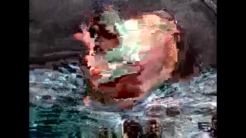 hornypilotguy online show from February 2025 02:28:02 AM