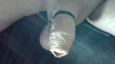 horse_dick9 online show from October 2025 10:46:02 AM